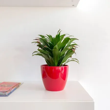 Apartment Quiet, Bright And