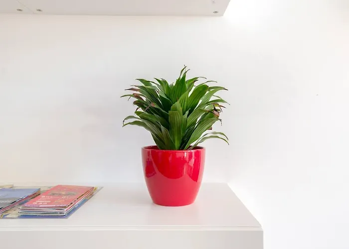 Apartment Quiet, Bright And